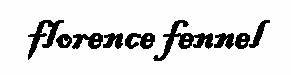 Florence Fennel LMS